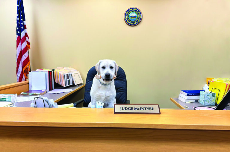 Paw and Order Meet Jack, New Hampshire’s Newest Canine Professional NHBA